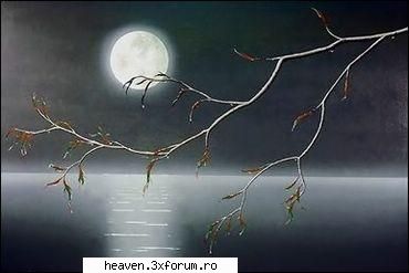 rasp stele next umbre Ingeras Houser