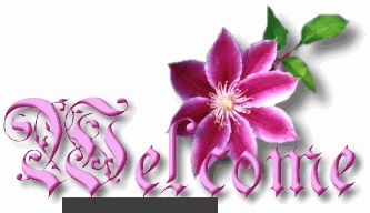banner marquee astept sugestii more